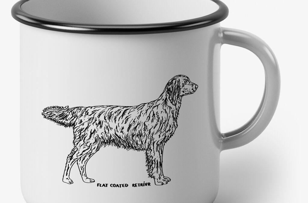Flat coated retriever – plecháček