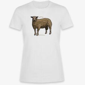 Dámské tričko ovce Charollais