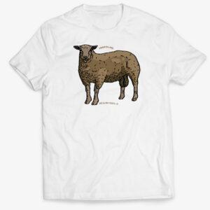 Pánské tričko ovce Charollais