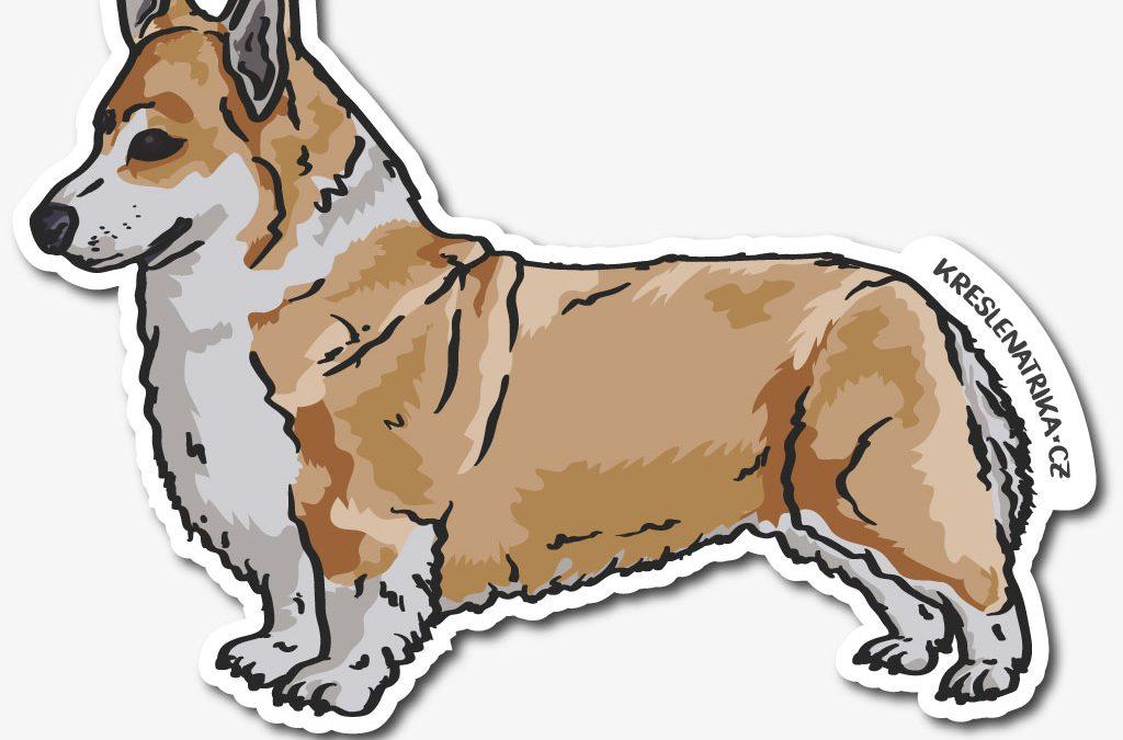 Samolepka se psem welsh corgi pembroke