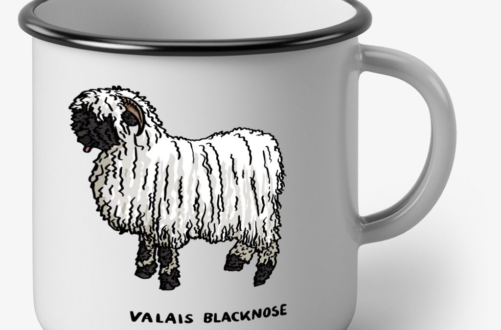 Plecháček s Walliskou černonosou ovcí